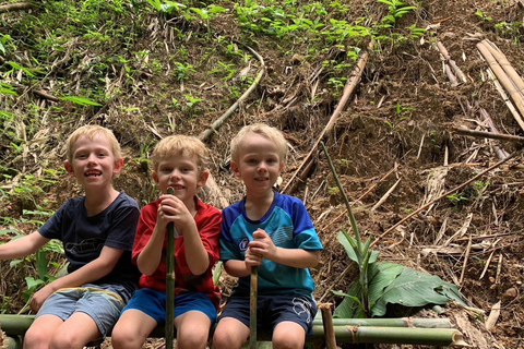 Chiang Rai Trek: 4 Hilltribes Villages & Waterfall Only Walk