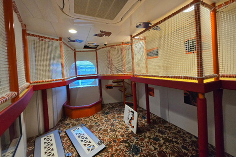 PanStar Busan Coastline Cruise & Sunset & Fireworks