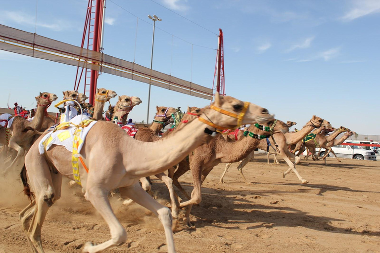 Doha: Wycieczka po Zachodnim Wybrzeżu, Rzeźba Richarda Serry, Zekreet