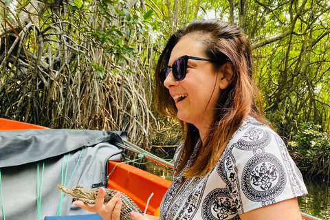 Bentota Jet Ski Ride & Mangrove River Safari Adventure Combo