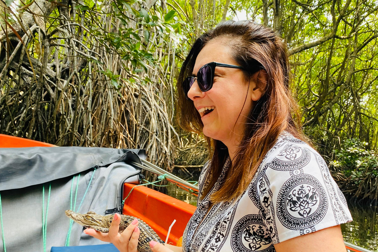 Bentota Jet Ski Ride & Mangrove River Safari Adventure Combo