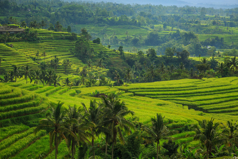 Jatiluwih (UNESCO Site) 2-Hour E-Bike Cycling Tour Tour without Hotel Transfers