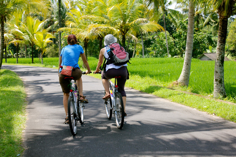 Tour de 2 h en bici eléctrica a Jatiluwih, lugar UNESCOTour sin traslados al hotel