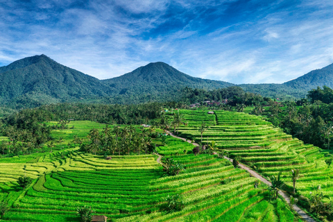 Jatiluwih (UNESCO Site) 2-Hour E-Bike Cycling Tour Tour without Hotel Transfers