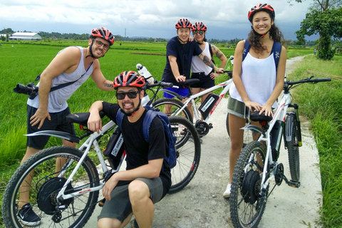 Tour de 2 h en bici eléctrica a Jatiluwih, lugar UNESCOTour sin traslados al hotel