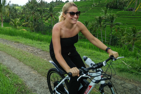 Tour de 2 h en bici eléctrica a Jatiluwih, lugar UNESCOTour sin traslados al hotel