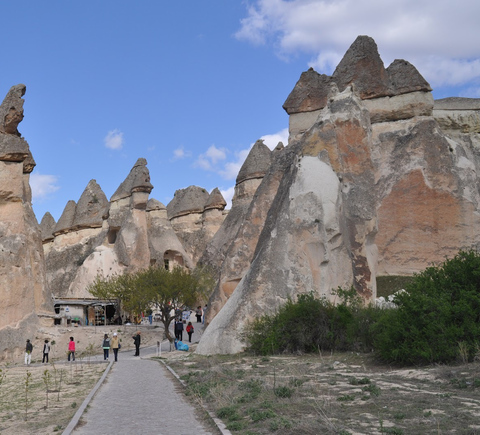 Culture & history