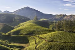 Sightseeing | Munnar things to do in Kottagudi