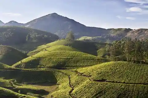 Exclusive Kerala Beauty, Munnar Hill Station Overnight Tour