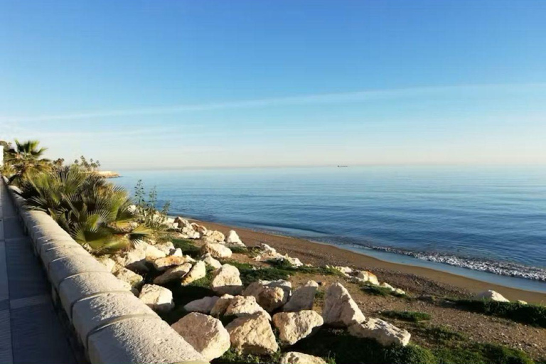 Tour guidato della zona di pesca di Malaga con laboratorio di cucinaTour guidato del quartiere dei pescatori di Malaga con laboratorio di cucina