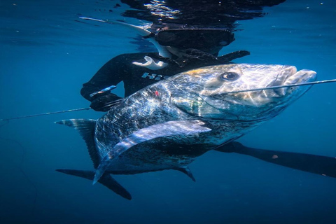 Gili Meno: Upplev spänningen med spjutfiskeäventyr!