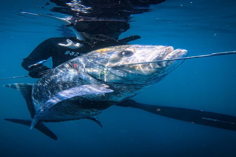 Gili Meno: Upplev spänningen med spjutfiskeäventyr!