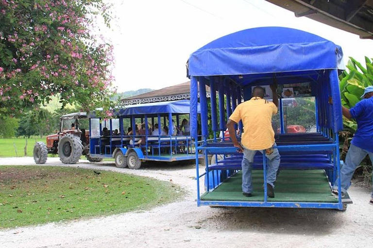 Negril: Safari sul fiume Nero e tour delle cascate YS con pranzo