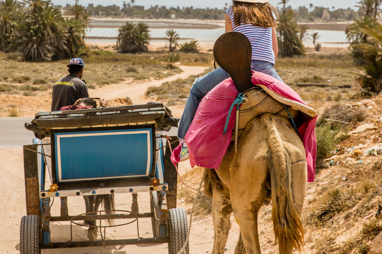 Blaue Lagune 2H Kutschfahrt in DjerbaTraditionelle Pferdekutschenfahrt in Djerba