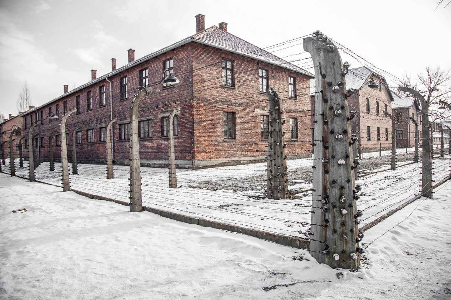 Da Cracovia: Tour ad Auschwitz-Birkenau