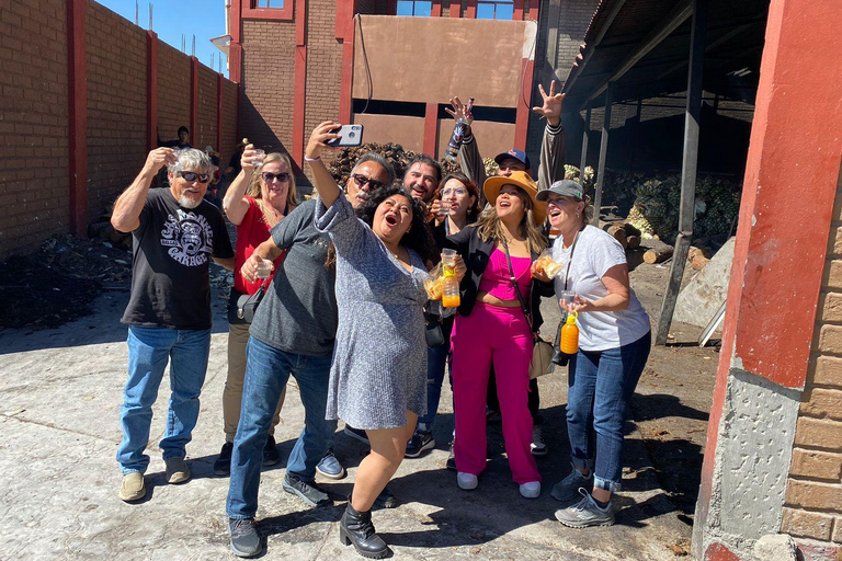 Oaxaca: Barrel-Bus Tour with Pulque, Agave & Mezcal Tastings