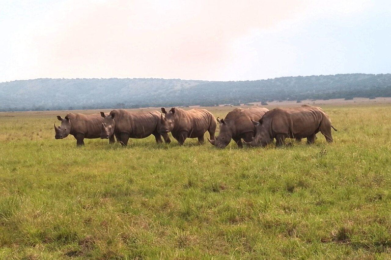 3 Day Safari in Akagera National Park