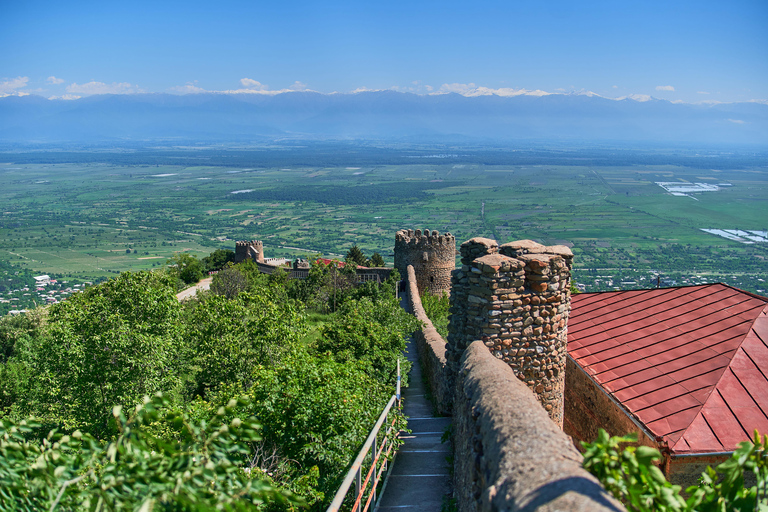 Tbilisi: Kakheti Wine Tasting & Sighnaghi Private Tour