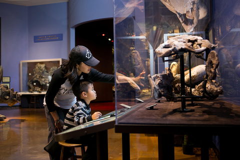 San Diego: Nighttime at the San Diego Natural History Museum