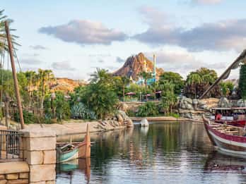 Tokyo Disneyland oder DisneySea: Ticket und Transfer Tokyo Disneyland oder DisneySea: Ticket und Transfer