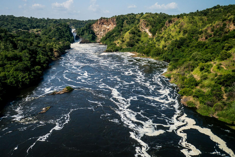 16 dagar Ugandan Odyssey-lyxiga lodger, gorilla och schimpanser