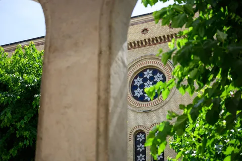 Judisk historia med lokalguide och synagogbiljett