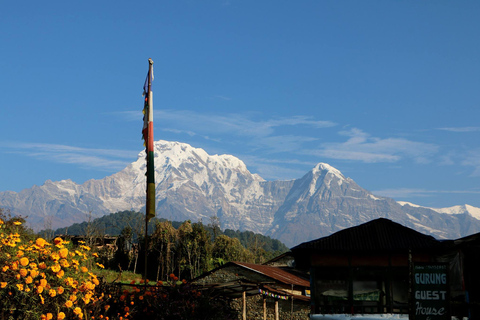 Ab Pokhara: 3-tägige Wanderung im Himalaya