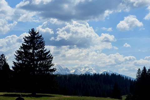 Poiana Brasov: Guided ATV Ride Through Mountain Forest