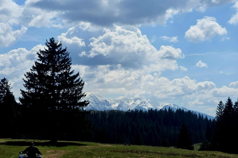 Poiana Brasov: Guided ATV Ride Through Mountain Forest