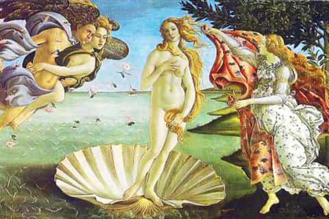 Florence: Early Access Uffizi Tour & Palazzo Vecchio