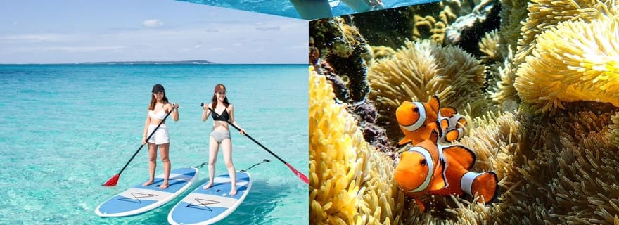 Miyakojima : SUP et plongée avec tuba - Deux activités en une journée