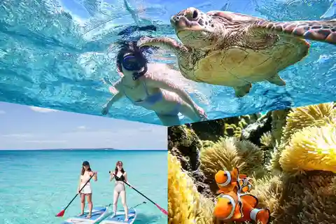 Miyakojima: SUP ve Şnorkelle Dalış - Bir Günde İki Aktivite