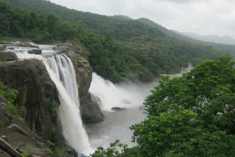 From Cochin: Athirappilly Waterfall Excursion with Lunch
