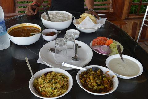 Athirappilly Waterfall Excursion with Lunch from Cochin