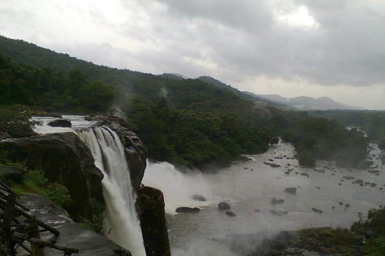 Athirappilly Wasserfall Ausflug mit Mittagessen aus Cochin