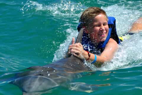 dolphin explorer entrada y traslados desde punta cana
