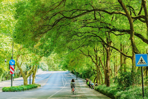 Shanghai: Hangzhou City Advanture & West Lake Bicycle Tour