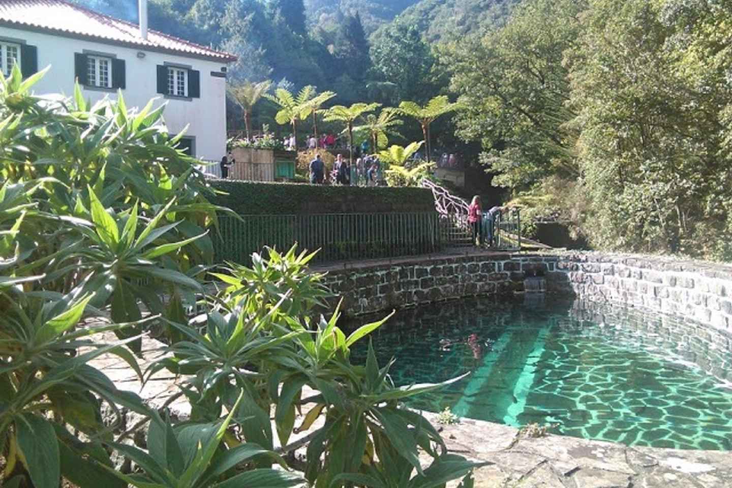 Eastern Madeira: Full-Day Tour with Rum Tasting - Eastern Madeira: Full-Day Tour with Rum Tasting