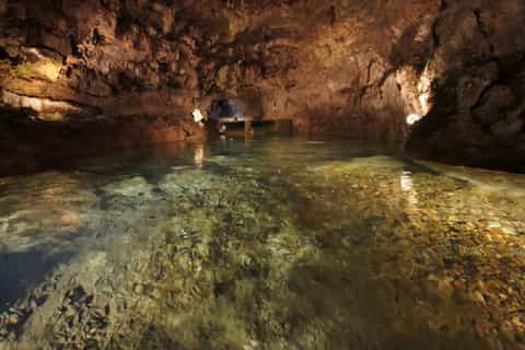 São Vicente Caves and Volcano Center Half-Day Tour