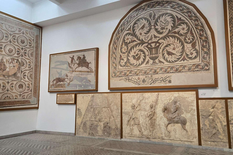 Tunis, Carthage & Bardo Museum: A Journey Through History From Mahdia