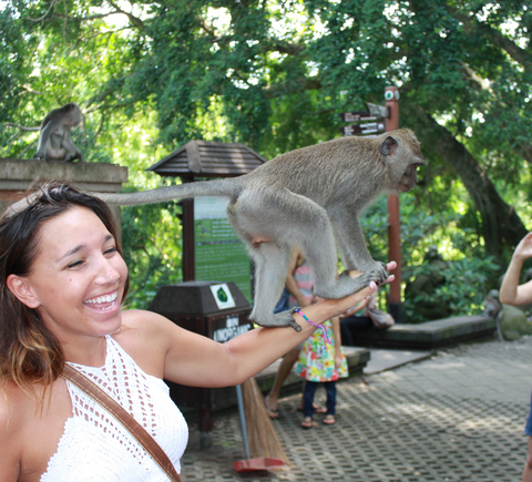 Safaris & wildlife activities