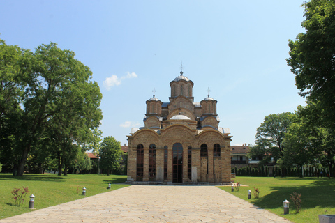 Desde Skopje: visita turística privada de Pristina y Prizren