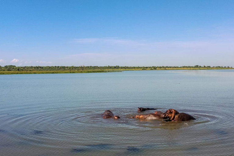 Safari de 6 días por la sabana de Uganda