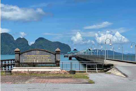 Phuket : sortie en bateau à longue queue privé dans la baie de Phang NgaPhuket : sortie privée en bateau à longue queue dans la baie de Phang Nga