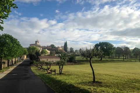 depuis montpellier expérience viticole au pic saintloup