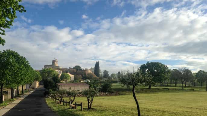 depuis montpellier expérience viticole au pic saintloup