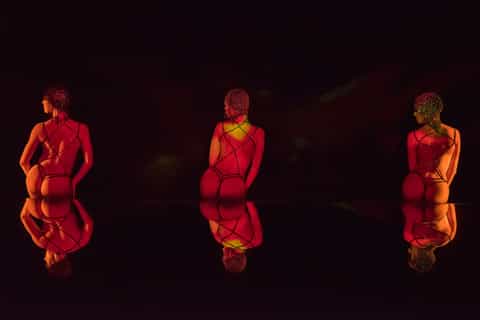Paris: Crazy Horse Cabaret Show