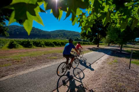 From Beechworth: 3-Day Murray to Mountains Trail Biking Tour