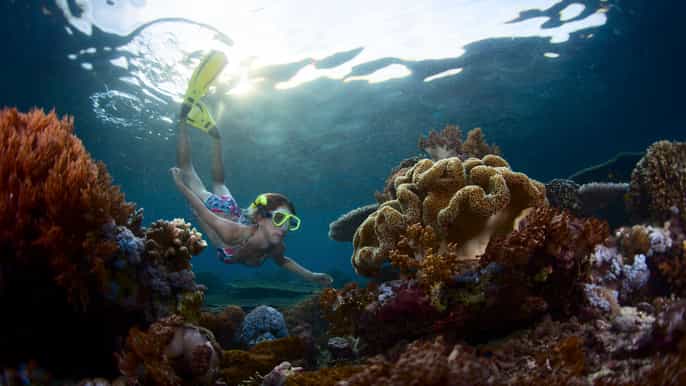 from bali snorkeling day trip to nusa lembongan