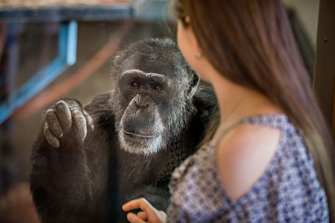 Monarto Safaripark: Tickets algemene toegang